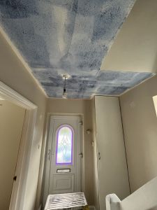 paint ceiling