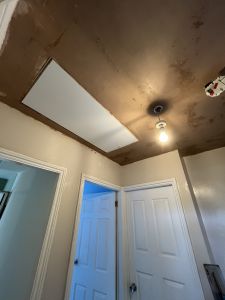 new ceiling Pangbourne