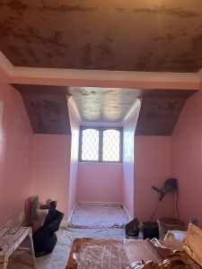 paint ceiling hampshire