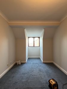 painting and decorating